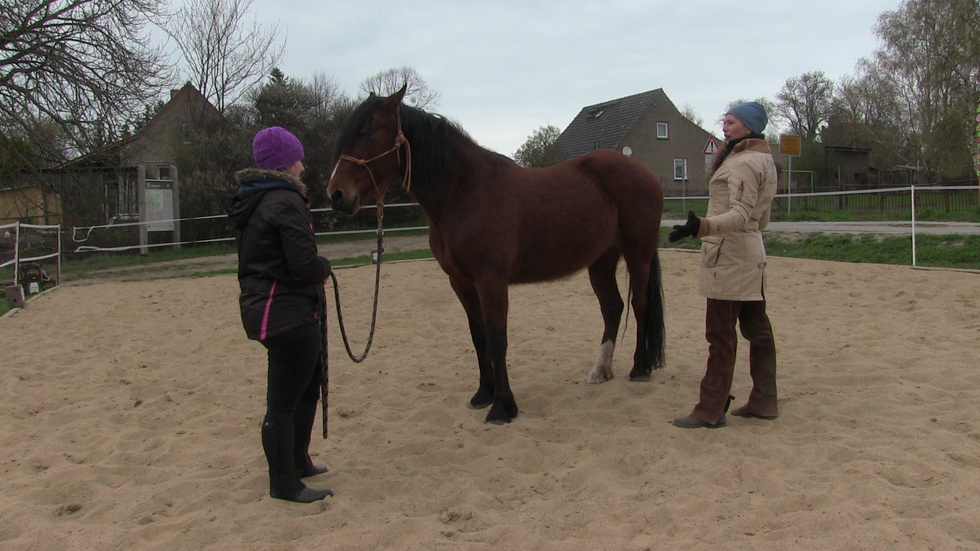 Sylvia, Verena und Josi beim Horsemanship