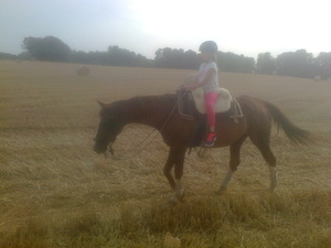 Wanderreiten mit Odina
