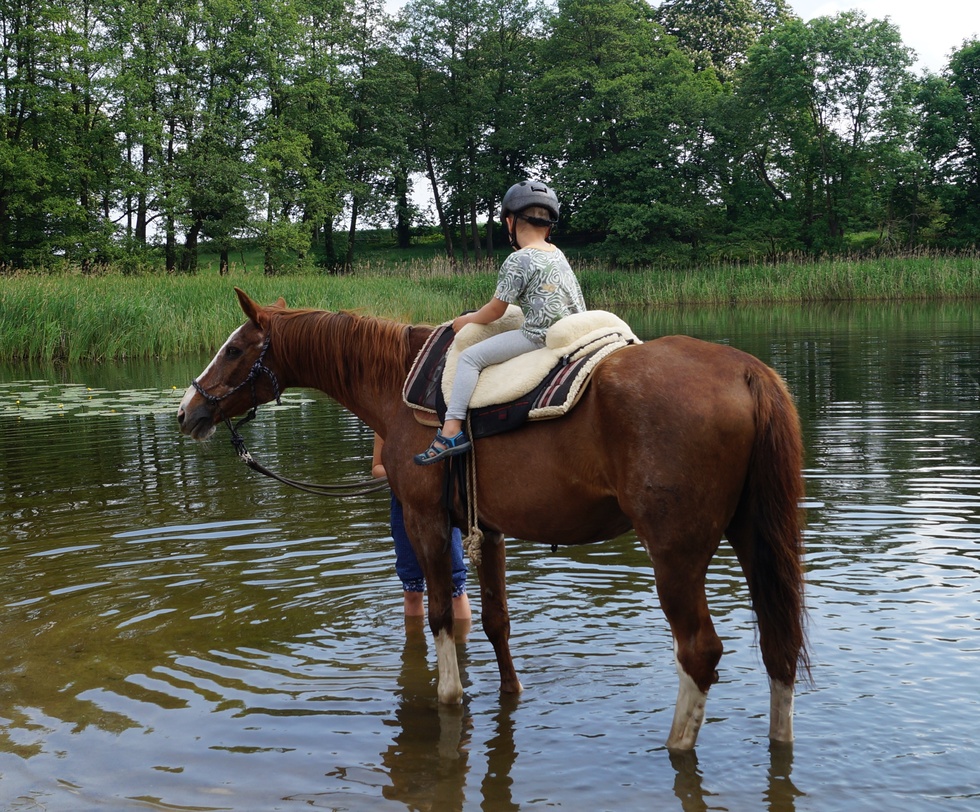 Rufus und Odina im Wasser