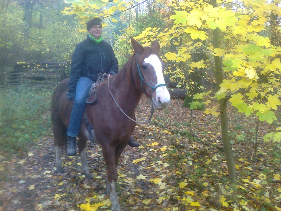 Mit Odina im Wald