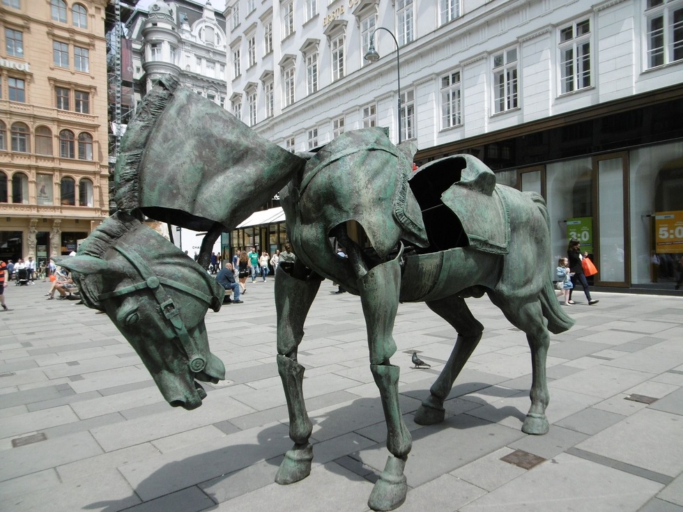 Altes Pferd - und nun?!