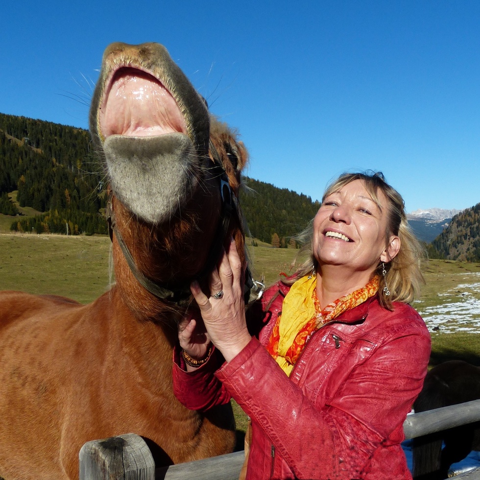 Bei uns wir gelobt - und zwar nicht nur der Reitschüler!