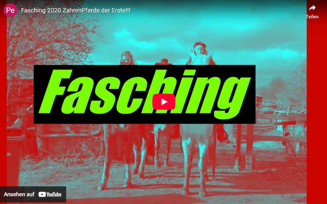 Fasching 2020 mit den ZahrenPferden