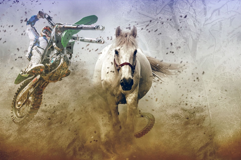 Pferde und Motorräder